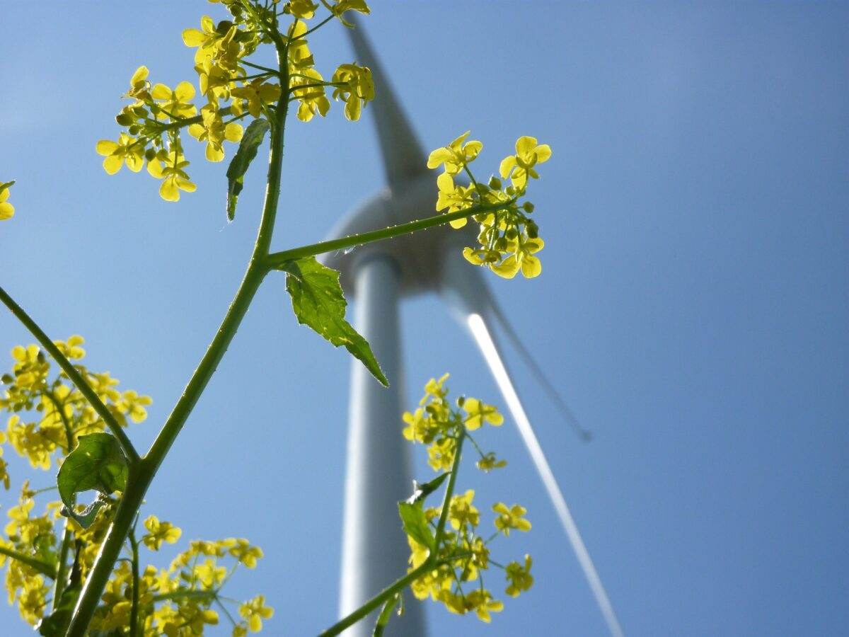 Provincie beslis over de toekomst van Overijsselse energie