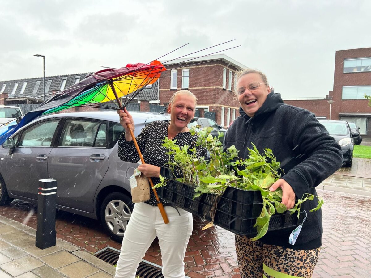 Honderden inwoners via de Groene Lopers in actie voor insecten